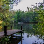 Cascadas del Purgatorio y Bosque de Finlandia 8 Feb.